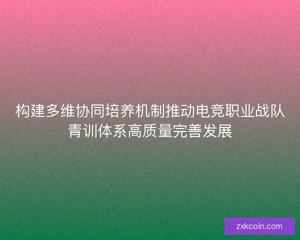 构建多维协同培养机制推动电竞职业战队青训体系高质量完善发展